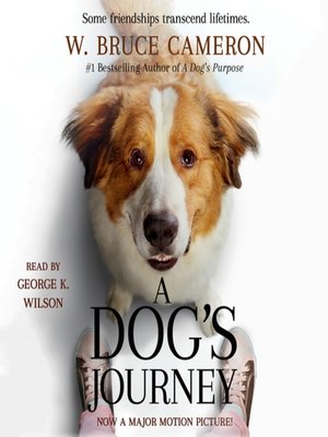 cover image of A Dog's Journey